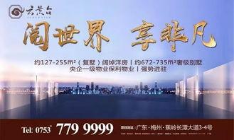 蕉岭民生爆料事件视频,视频揭露惊人真相，引发社会关注